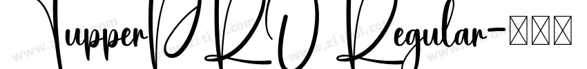 TupperPRO Regular字体转换